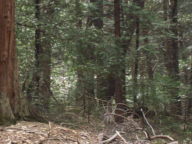 100_1356.JPG
