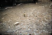 11-15.jpg