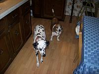 100_0441.JPG