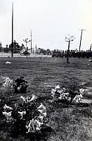 07-6.jpg