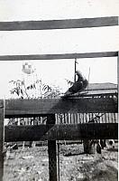 15-4.jpg