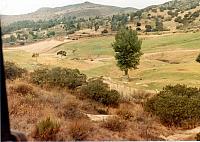 10-184.jpg