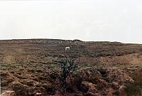 10-188.jpg