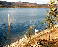 10-54.jpg