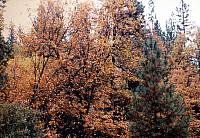 12-100.jpg