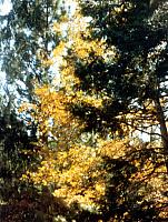 12-59.jpg