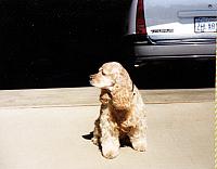 13-49.jpg