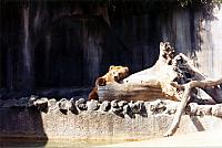 17-83.jpg