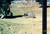20-40.jpg