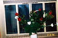 23-65.jpg