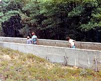 5-53.jpg