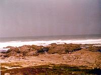 6-78.jpg