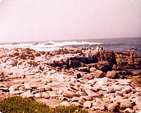6-88.jpg