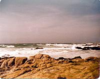 6-89.jpg