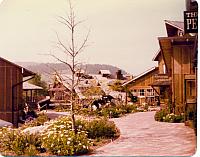 6-99.jpg