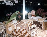 Album 9