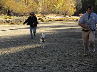IMG 1537