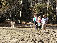 IMG 1540
