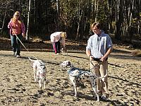 IMG 1541
