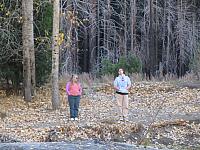 IMG 1546