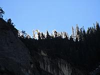 IMG 1548