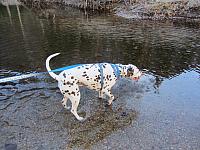 IMG 1580