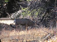 IMG 1591