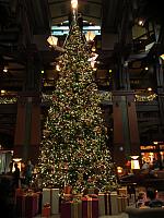 IMG 1615
