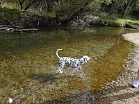 DSC00801