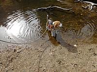 DSC00820