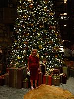 DSC00961