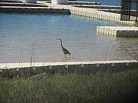 IMG 1274