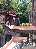 IMG 1312