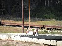 IMG 1337