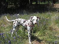 IMG 1345