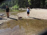 IMG 1352