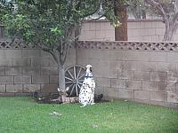 IMG 1370
