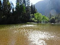 DSC00503