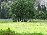 DSC00538
