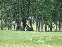 DSC00539