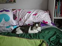 DSC00575
