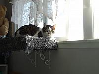 DSC00578