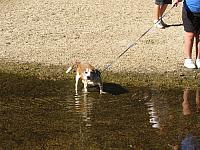 IMG 1389