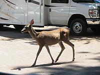 IMG 1405