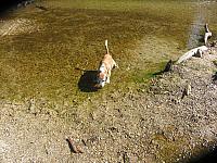 IMG 1408