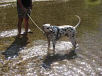 IMG 1410