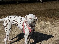 IMG 1412