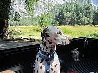 IMG 1422