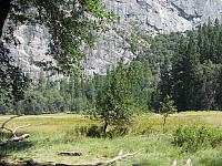 IMG 1424