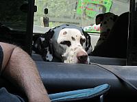 IMG 1441
